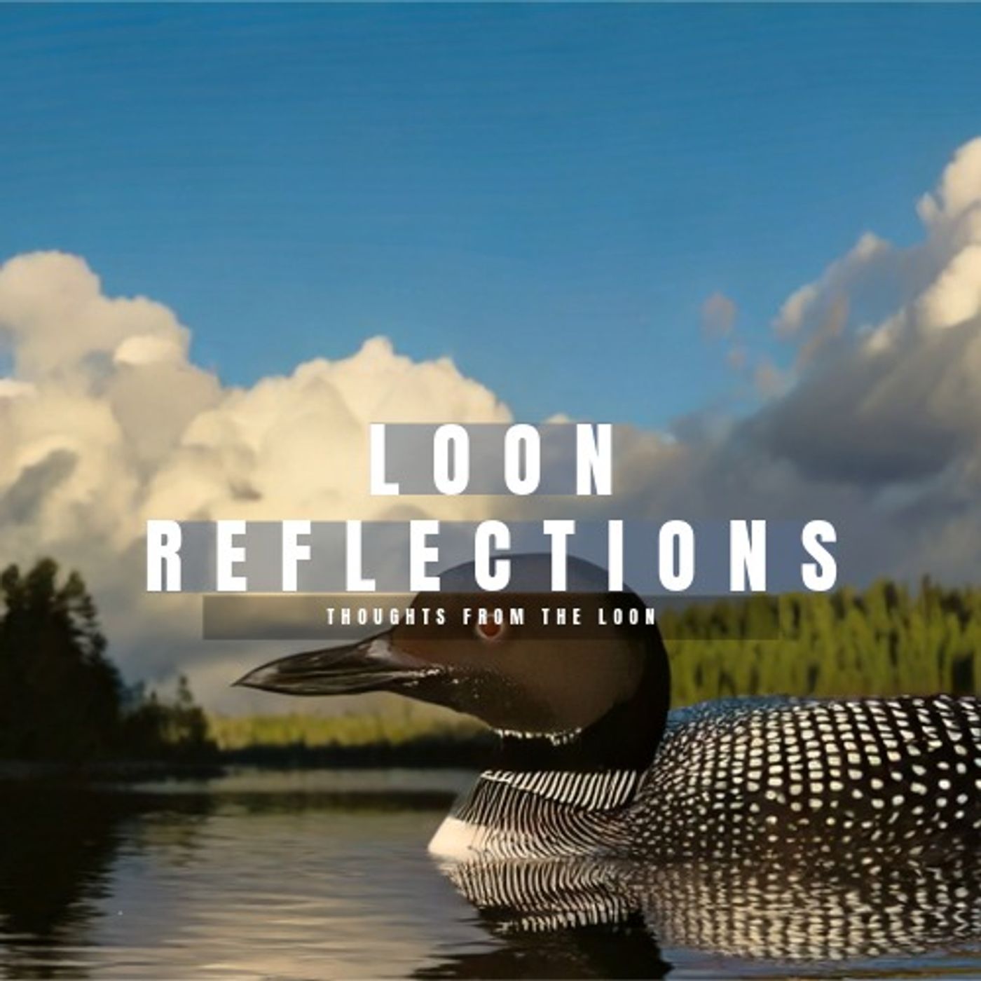 Thoughts from The Loon podcast artwork