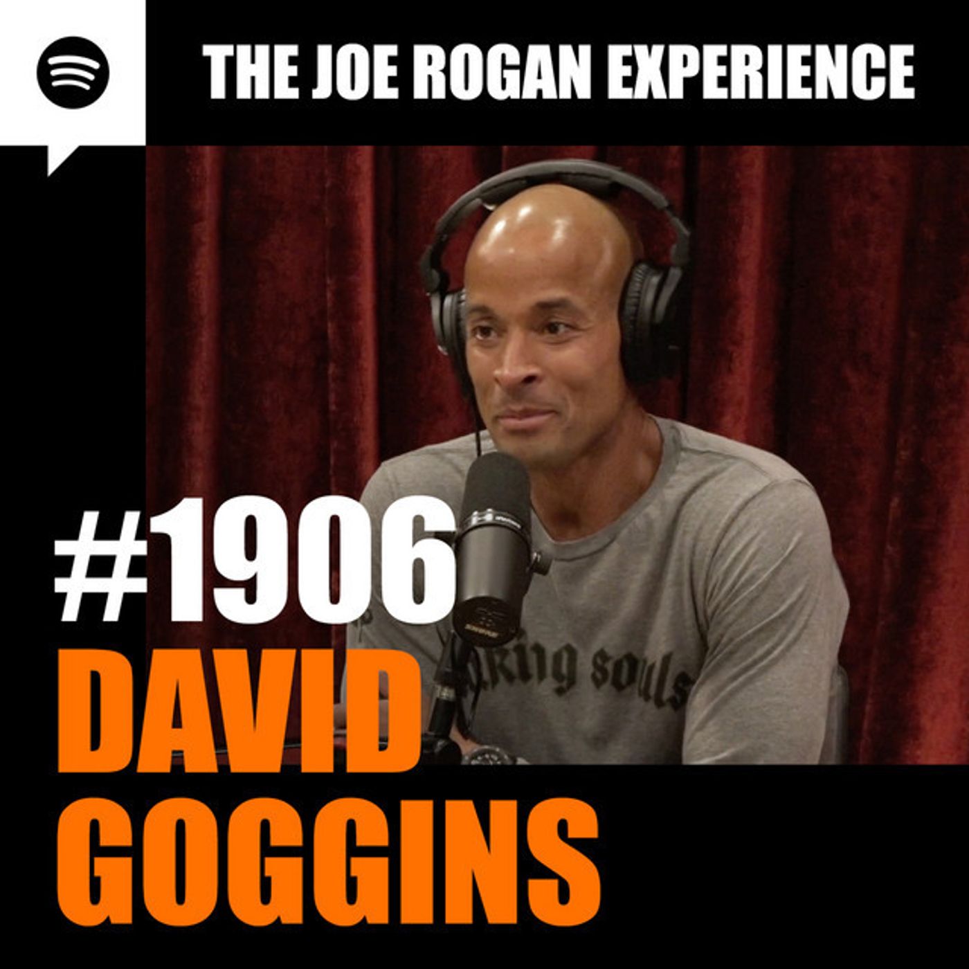 Joe Rogan Experience _1906 - David Goggins(M4A_128K)