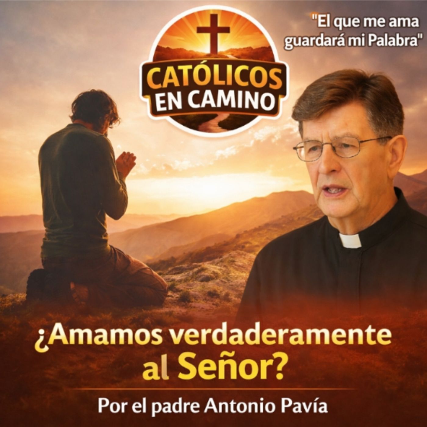 Evangelio del VI Domingo de Pascua 
San Juan (14, 15-21) 
Homilia Padre Antonio Pavía episode artwork