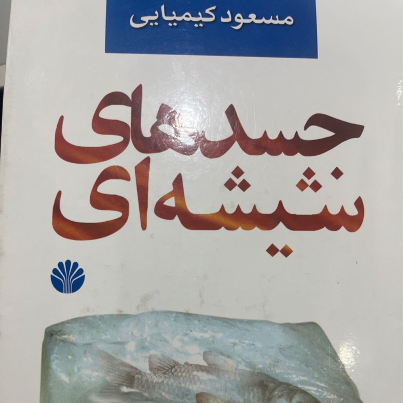 جسدهای شیشه ای