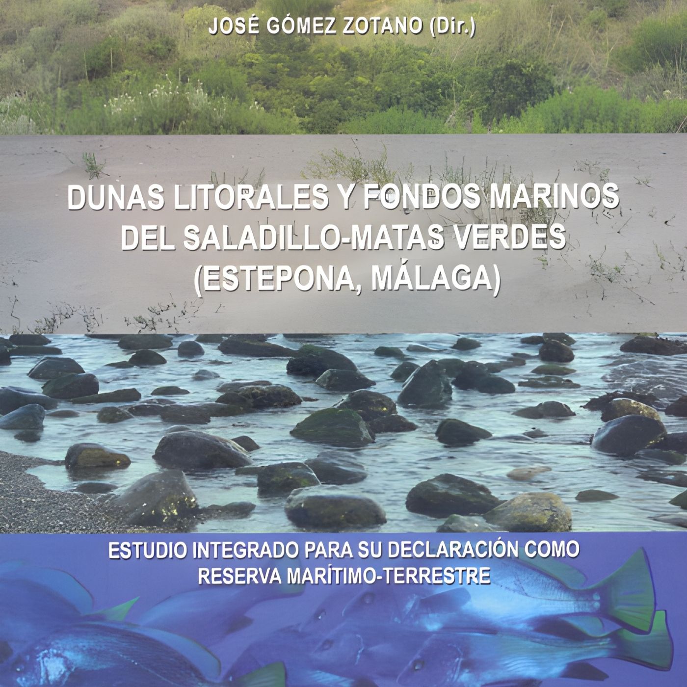 Crónicas de San Pedro Alcántara