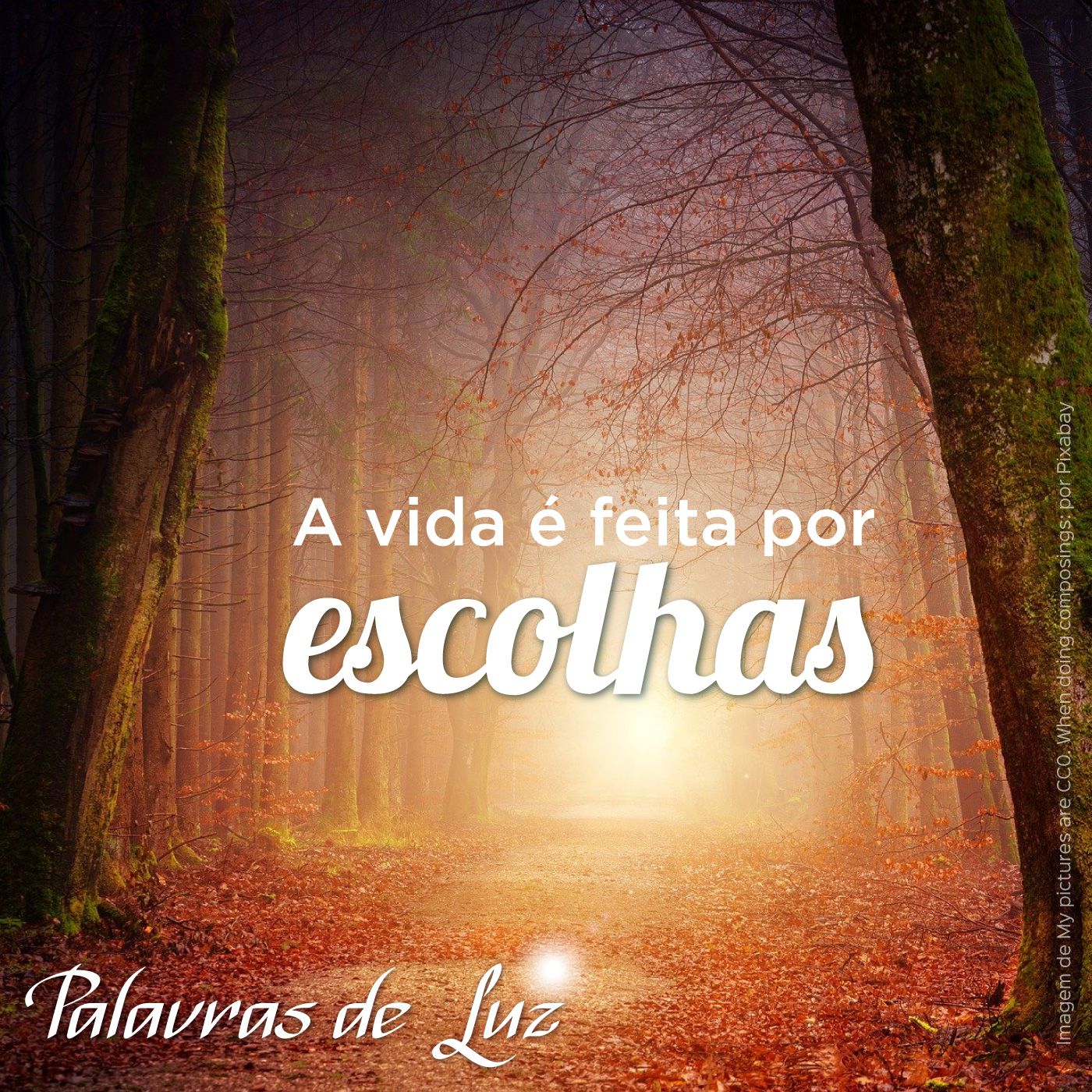 Palavras de Luz com abba Shimoda