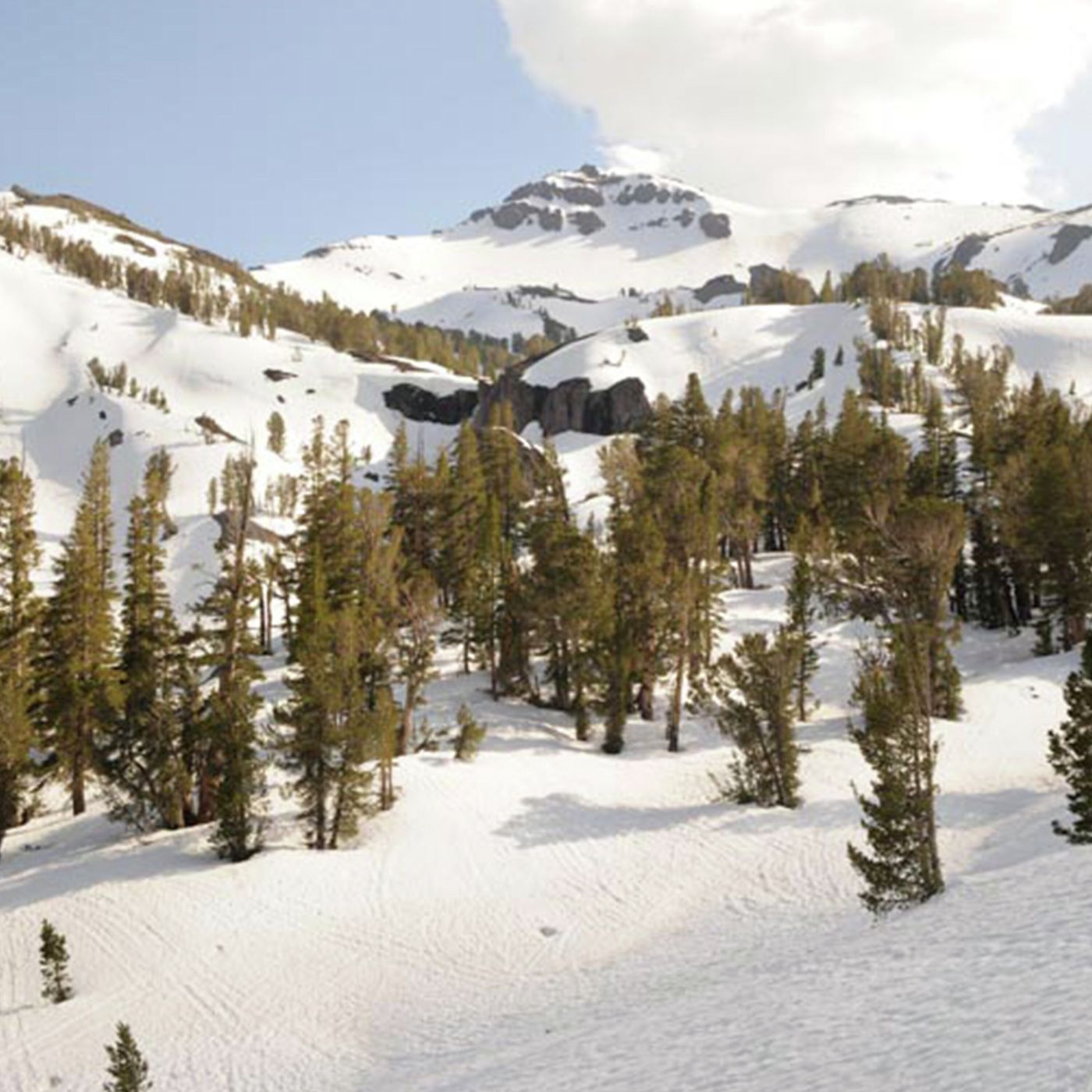 ¿En qué debemos gloriarnos?