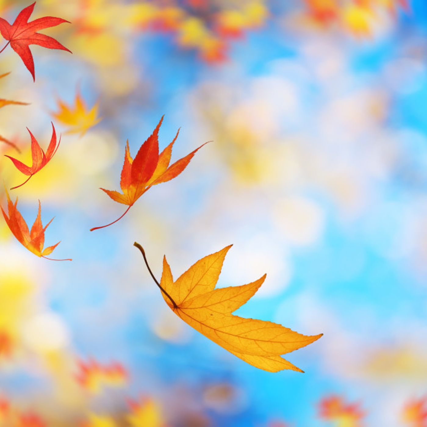 Seneca contro l’ansia: la frase che ti rimette in pace con ciò che non puoi controllare