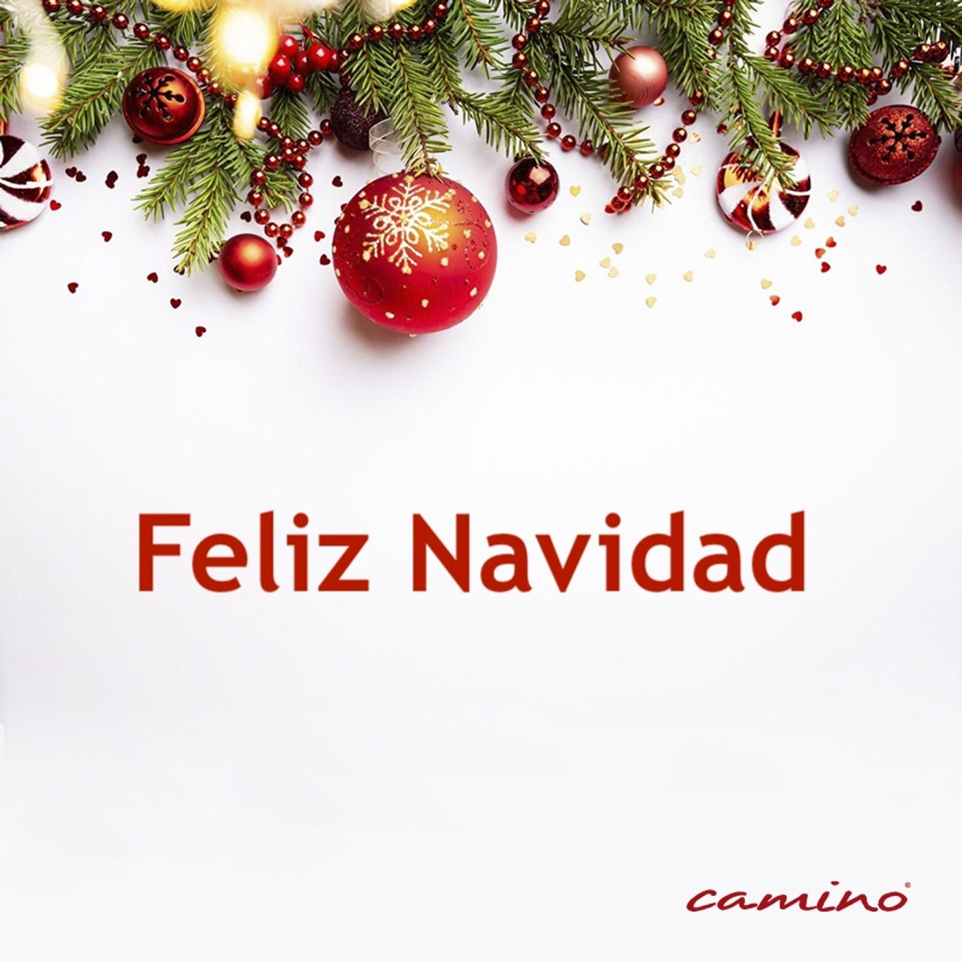 Oración 24 de diciembre (Feliz Navidad) episode artwork