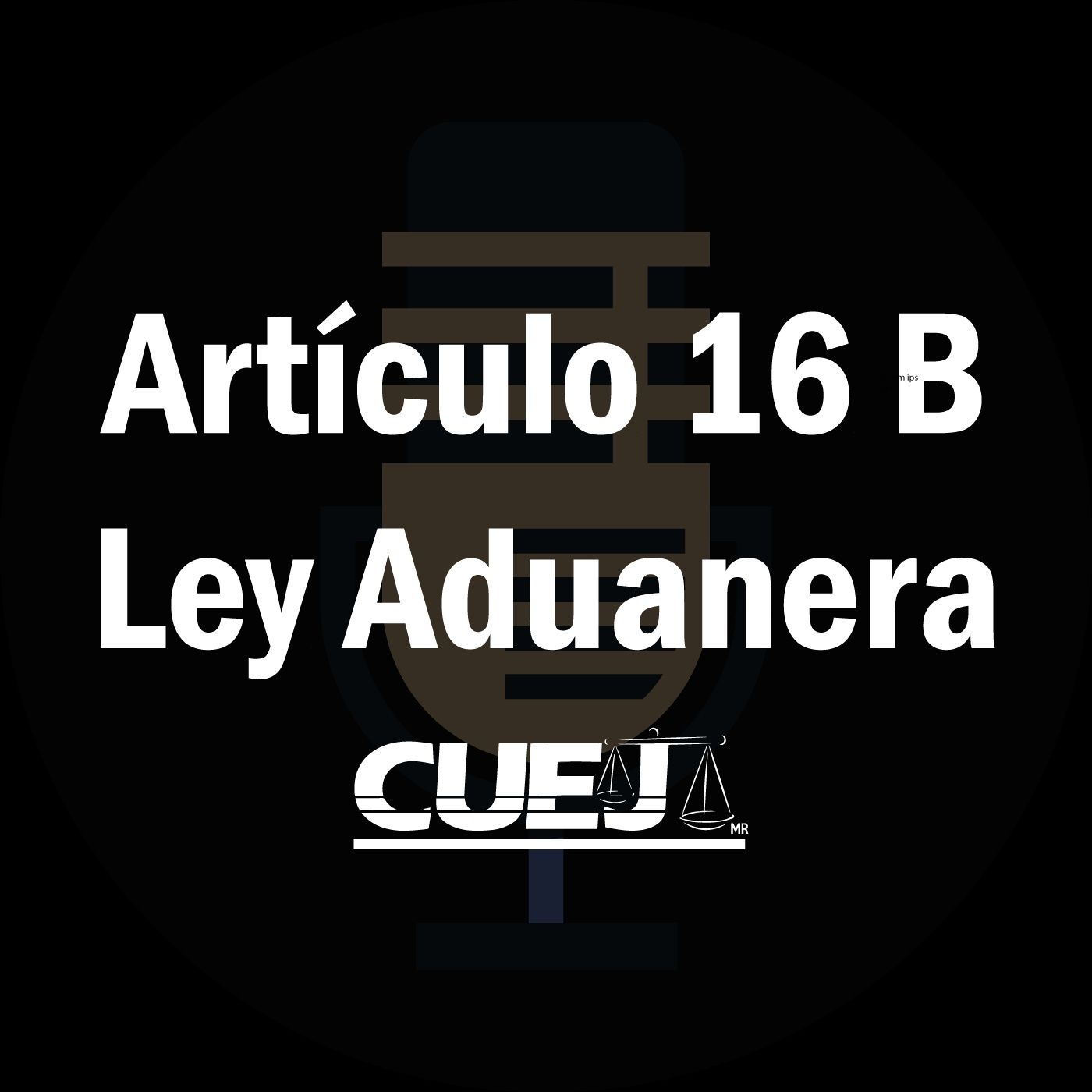 Audio Ley Aduanera