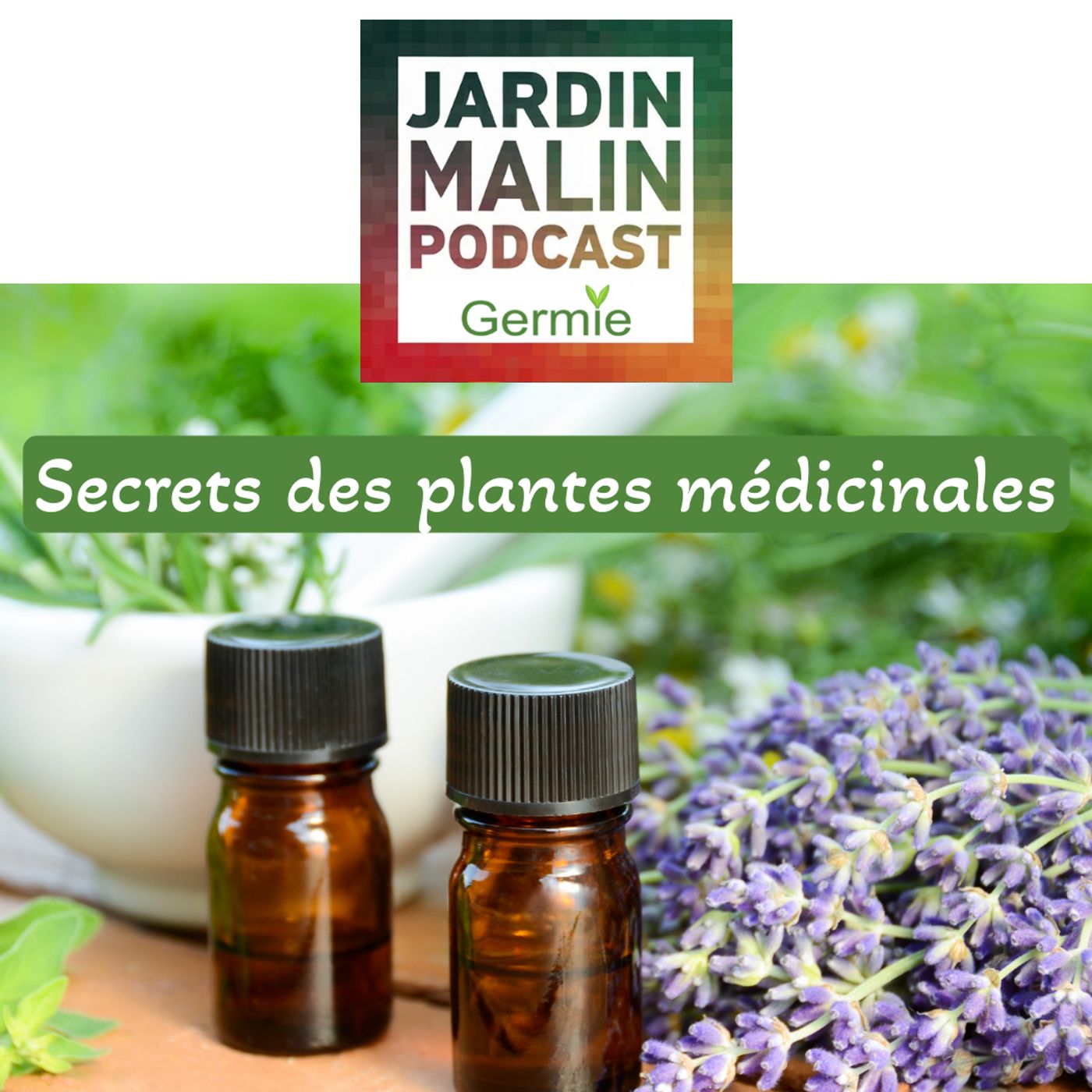 JARDIN MALIN by Germie