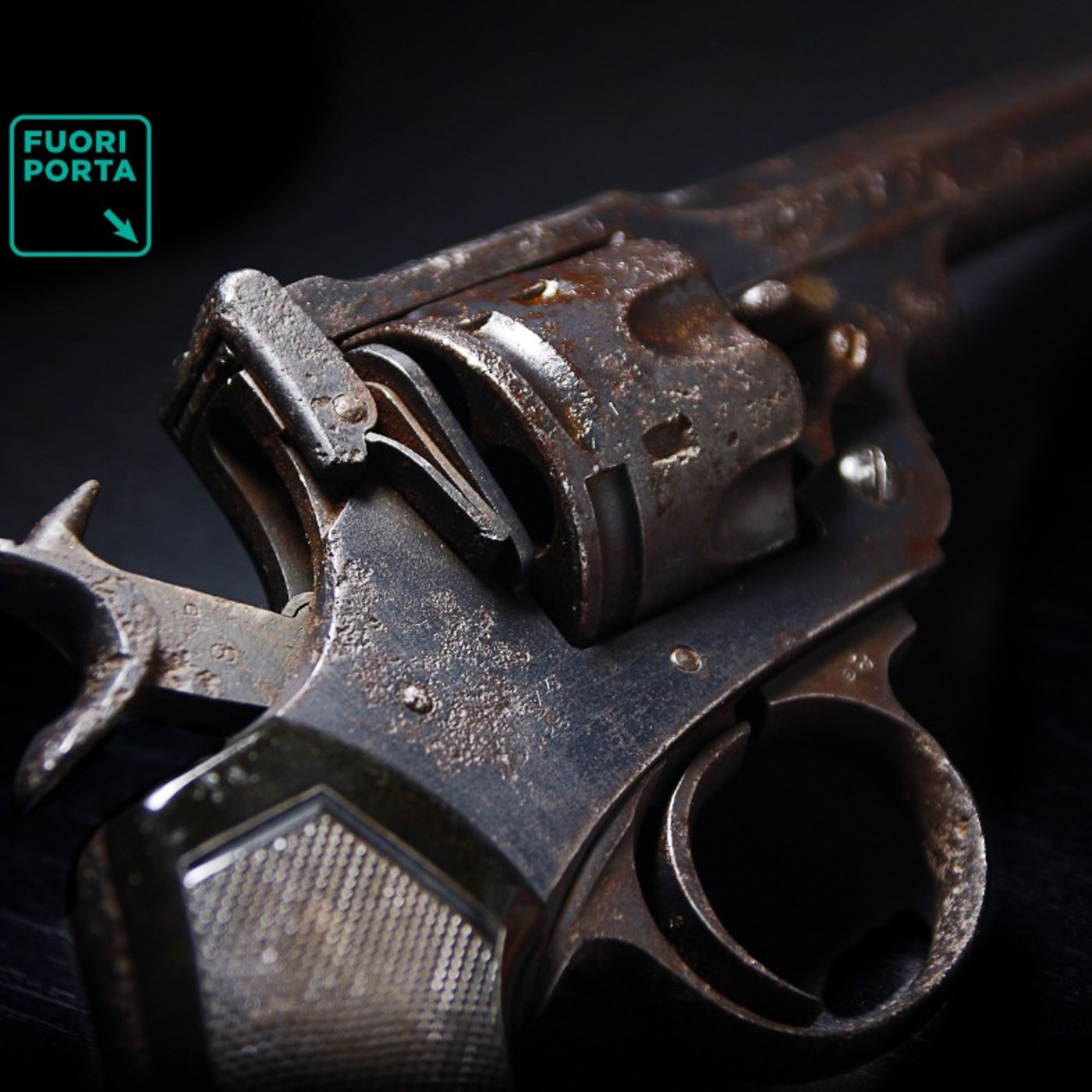 Revolver. Le armi da fuoco in Italia. Un viaggio tra violenza di genere, porto d’armi, sicurezza, dati e decisioni politiche. Prima parte