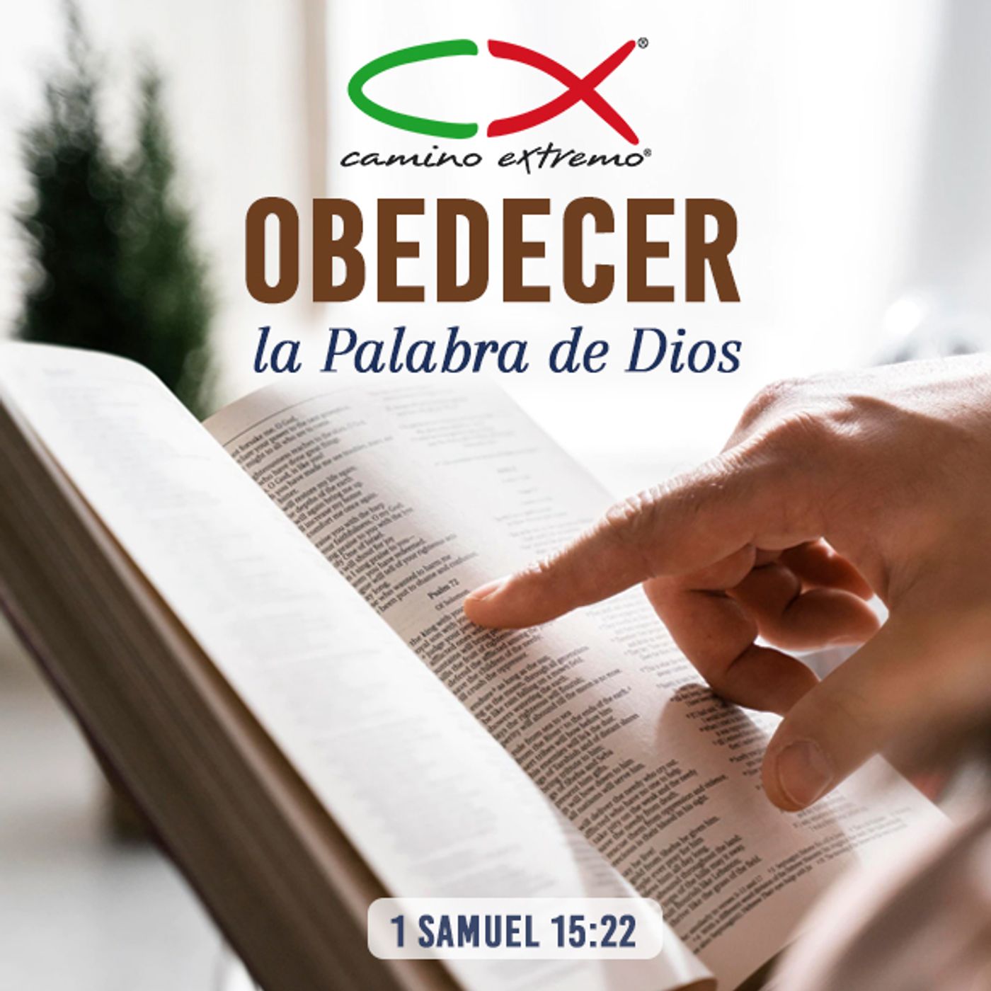 Oración 1 de noviembre (Obedecer la Palabra de Dios) episode artwork