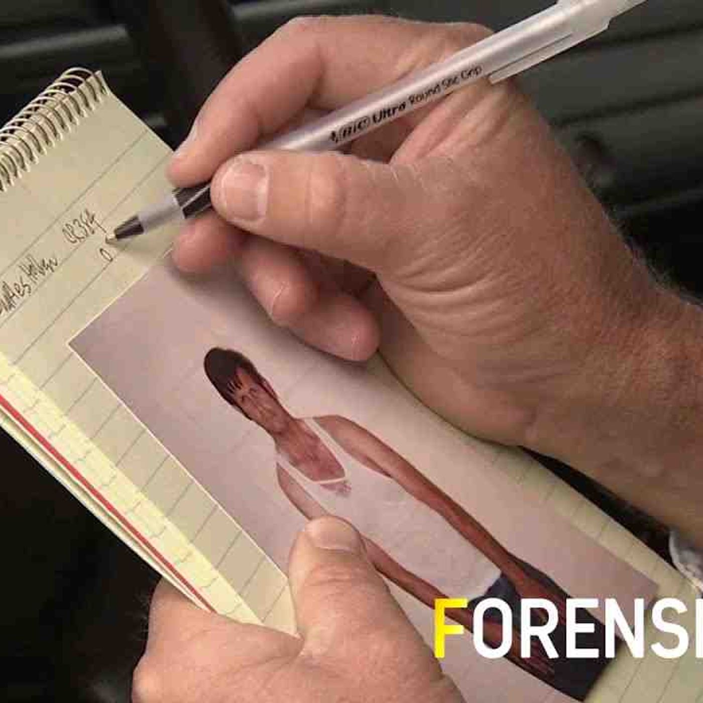 Forensic Files (HD) - Stranger in the Night - Full Episode