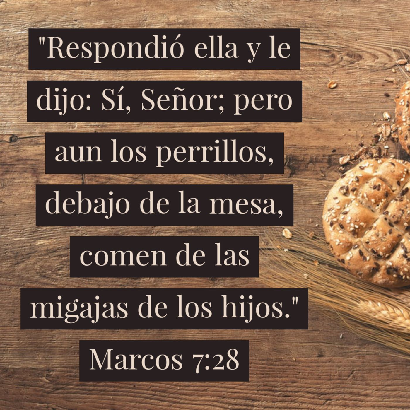 Evangelio de Marcos