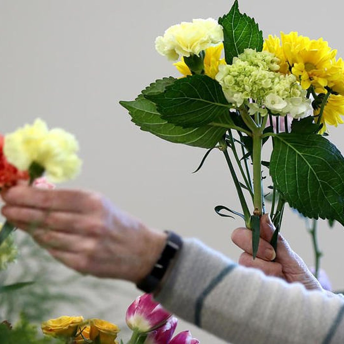 Illinois Extension to offer flower arranging workshop Aug. 5 in Henry episode artwork