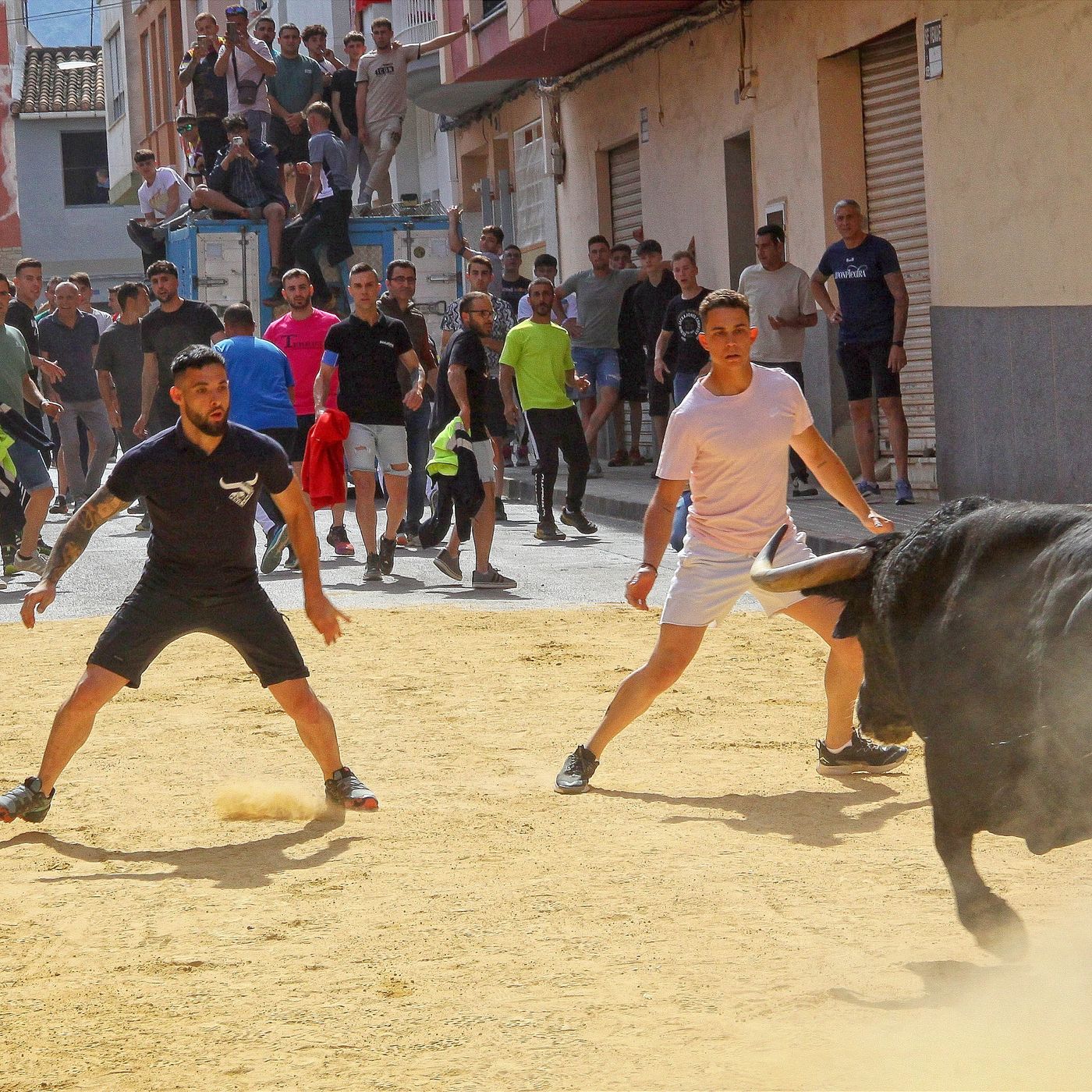 Hablemos de Toros