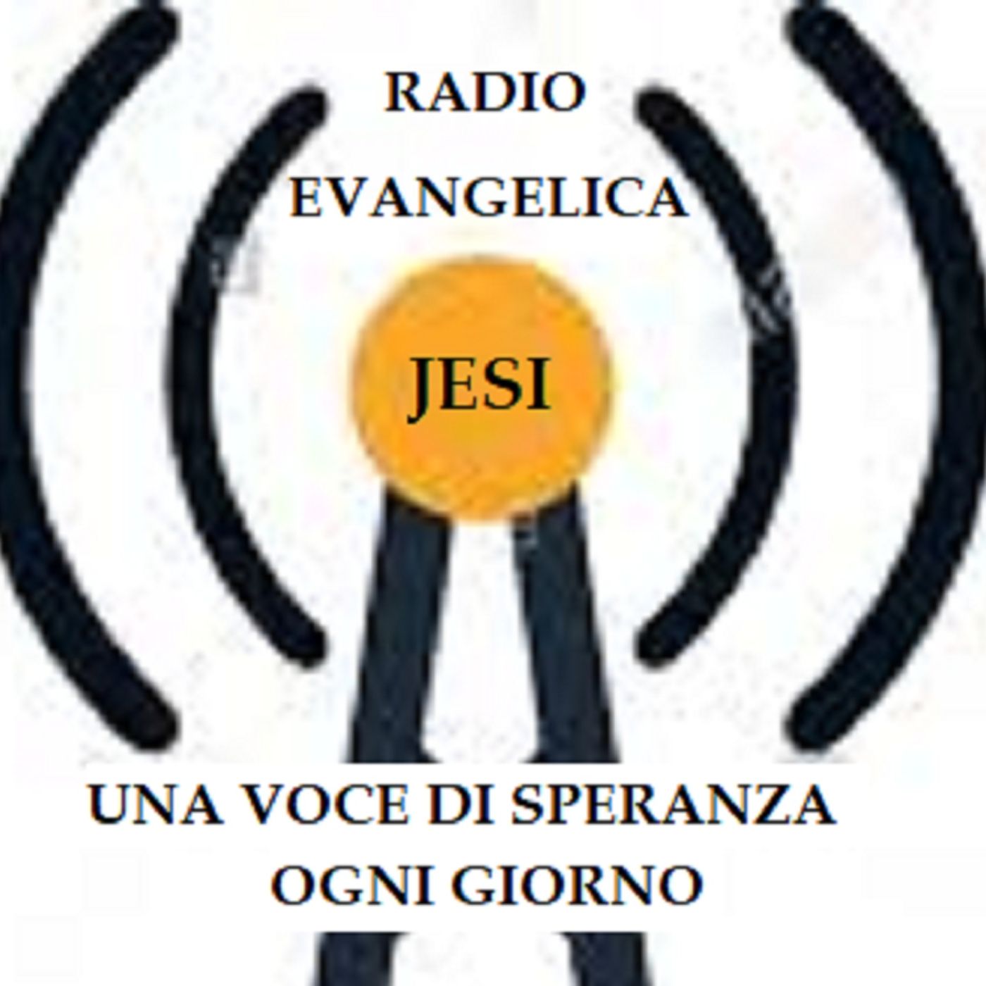 Dirette REJ Web