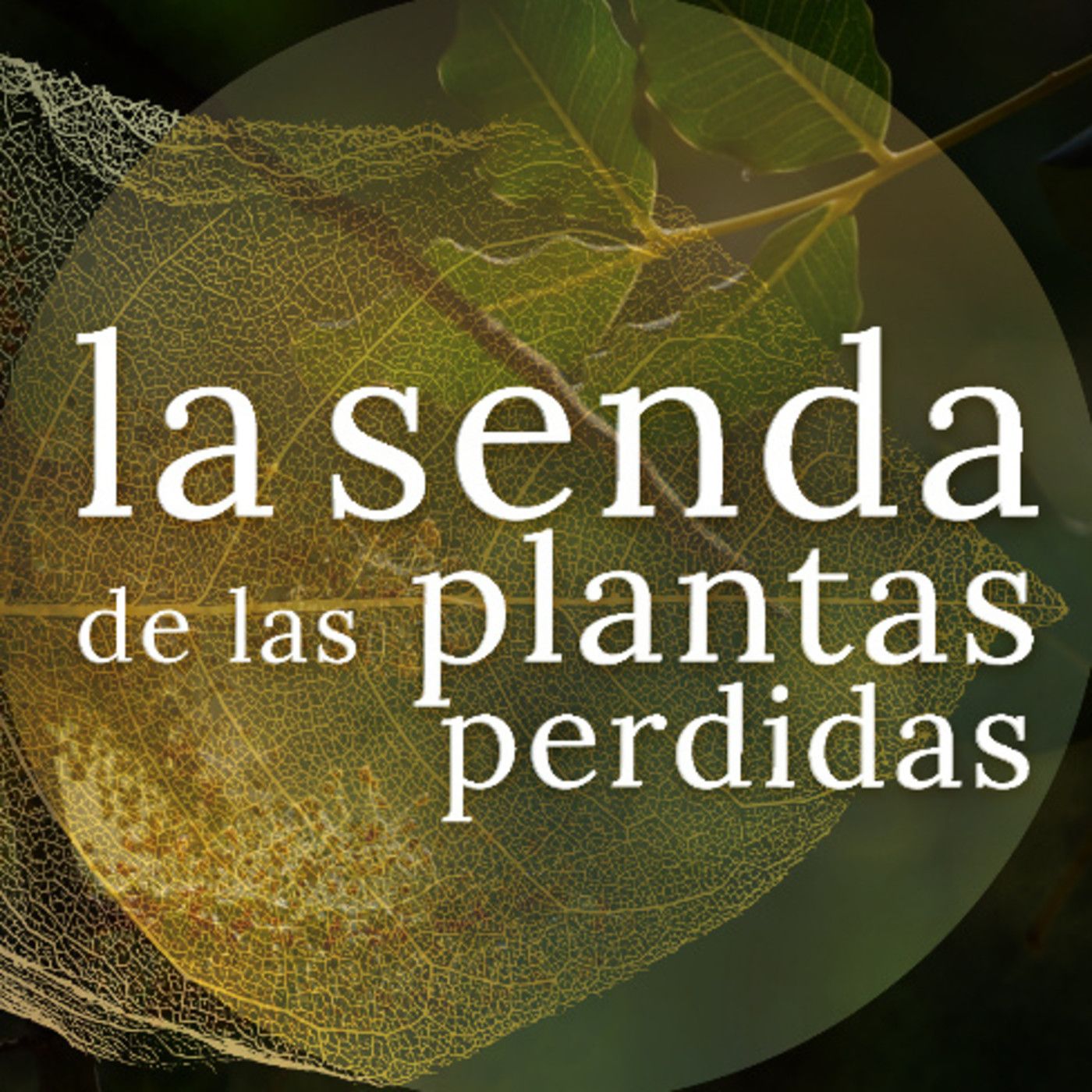 La Senda de las Plantas Perdidas