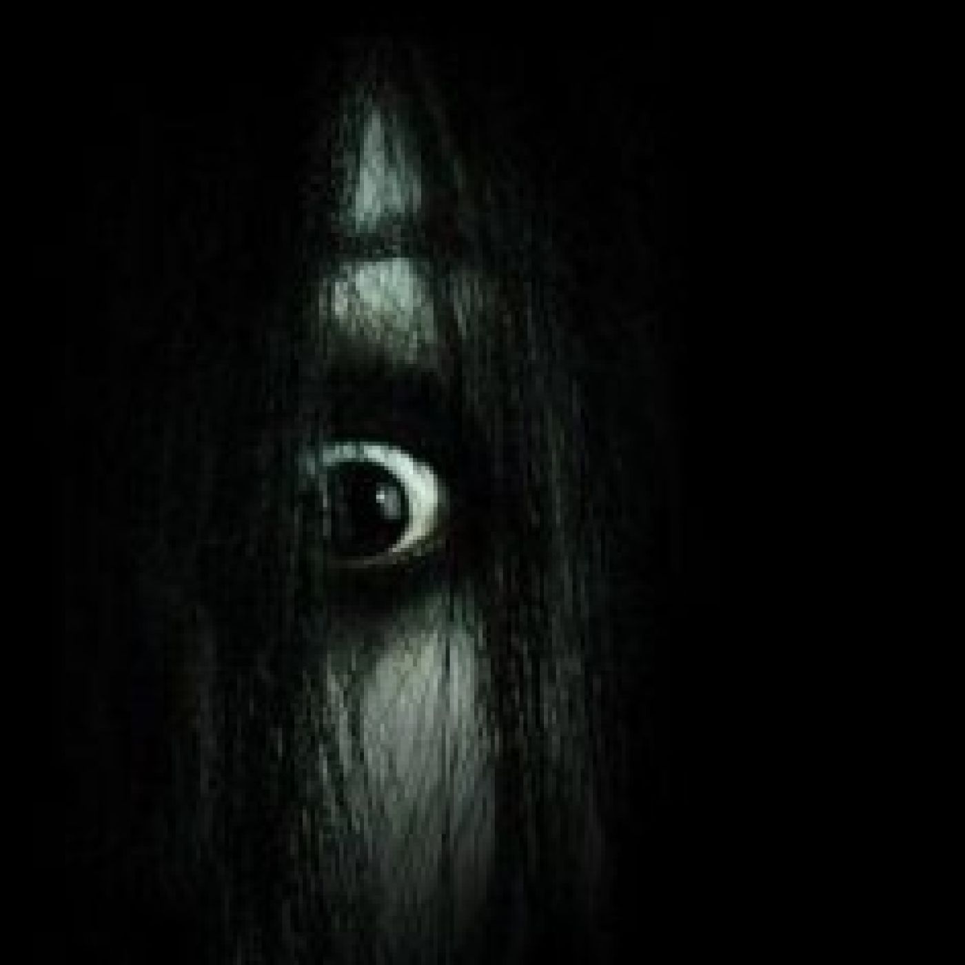 Al filo de lo real nº.342: La esencia del miedo episode artwork