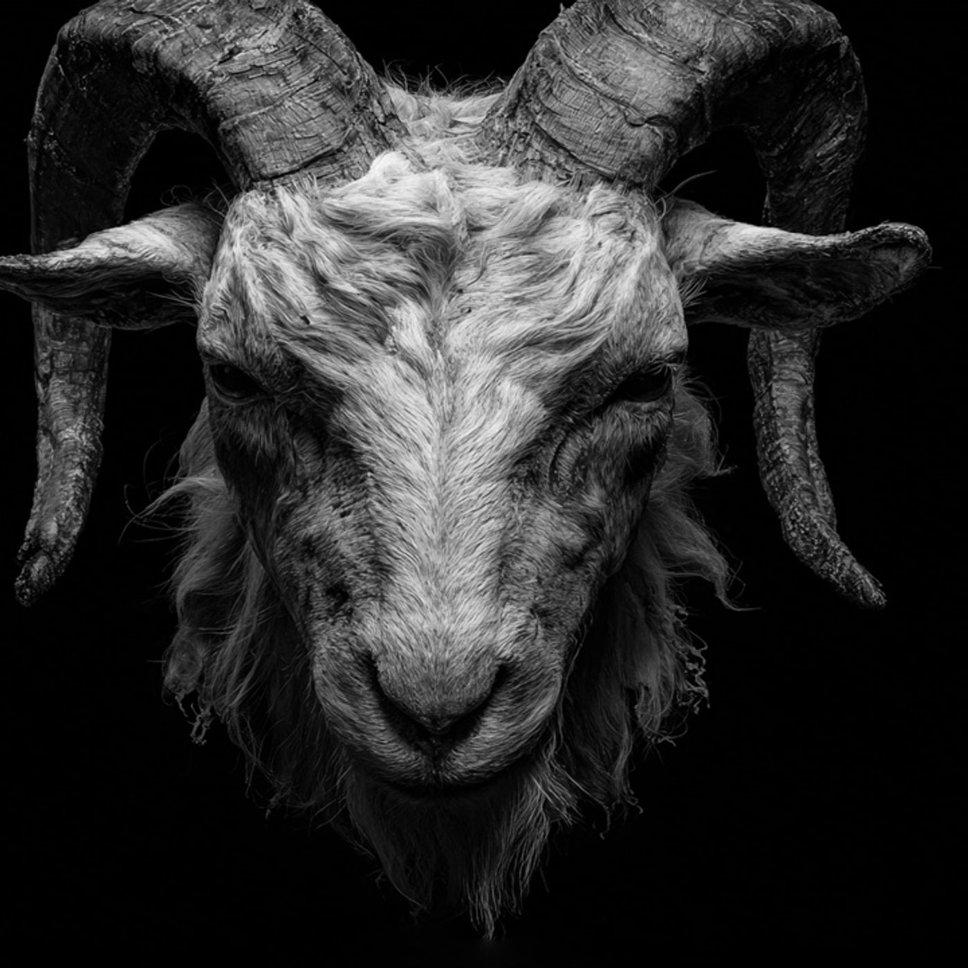 CHIVO Usado En RITUAL Historias De Terror - REDE