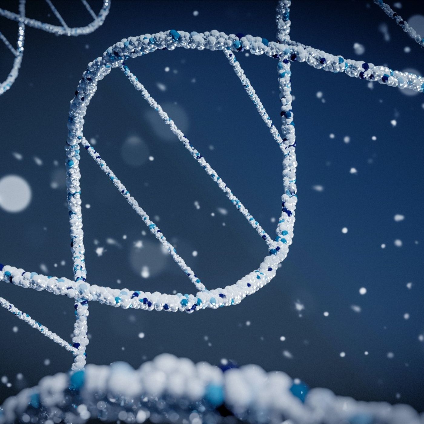 Fronte ("Focus"): «Lo studio del DNA offre una terapia personalizzata» episode artwork