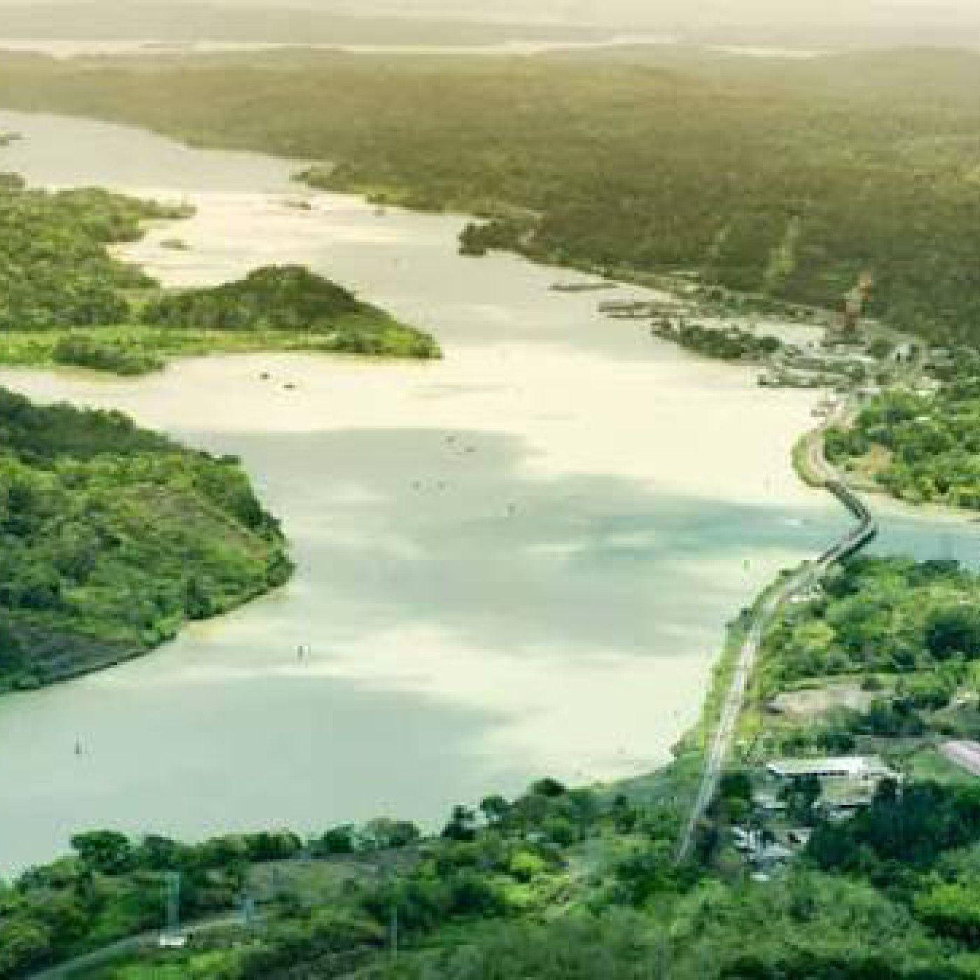 el latido de Gatun