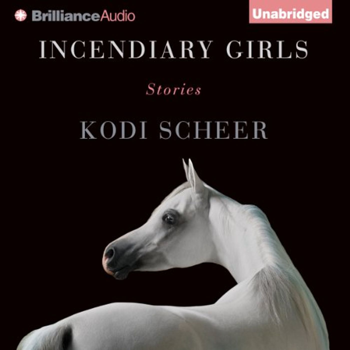 Listen to New Releases Audiobooks in Fiction, Short Stories & Anthologies