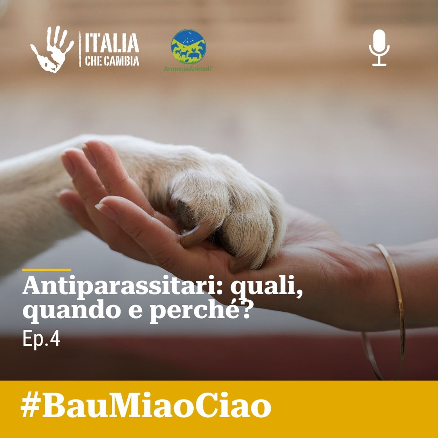 Antiparassitari, zecche e pulci.  Come dobbiamo comportarci? episode artwork