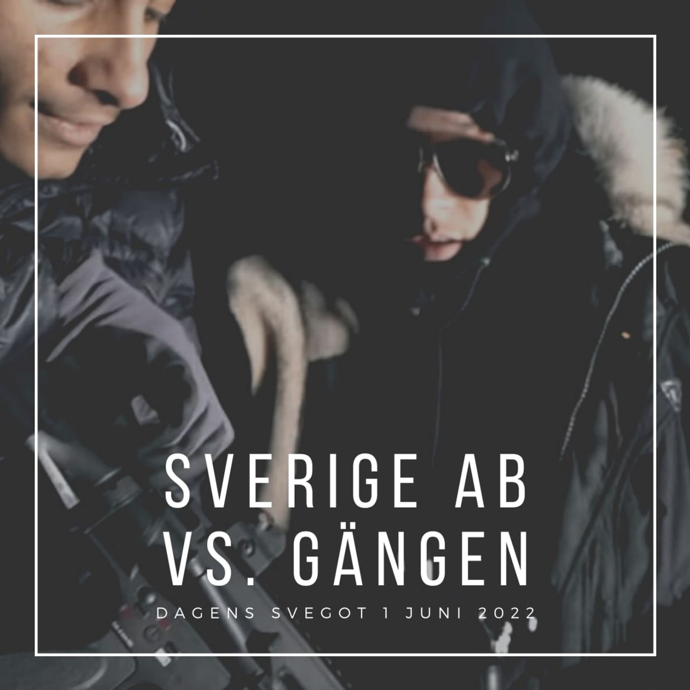 Det fria Sverige