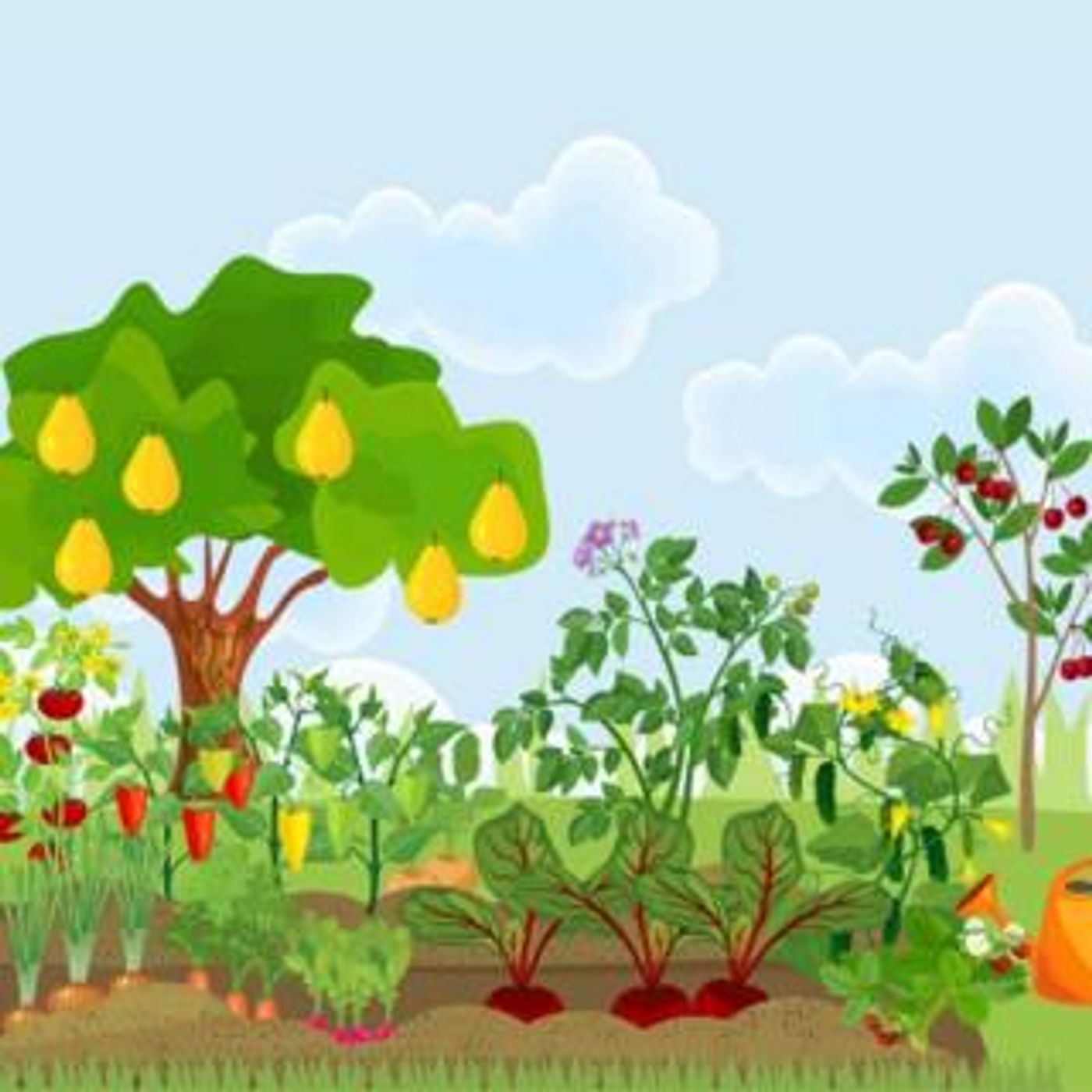 Living Lighter Radio with Jason & Patricia: An Ecosystem Approach to Your Life!: The Ecosystem Approach Part 2 - this is the solution for al