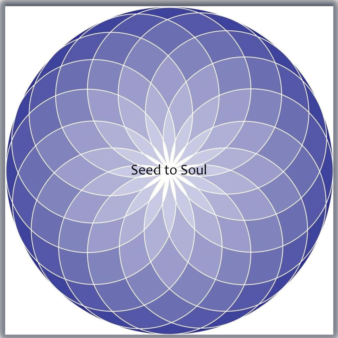 Seed to Soul