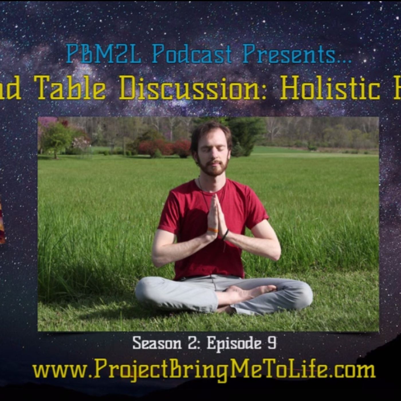 Ep. 54 Holistic Health Round Table Discussion episode artwork