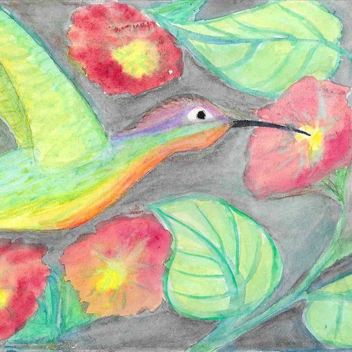 COLORI E LUCI