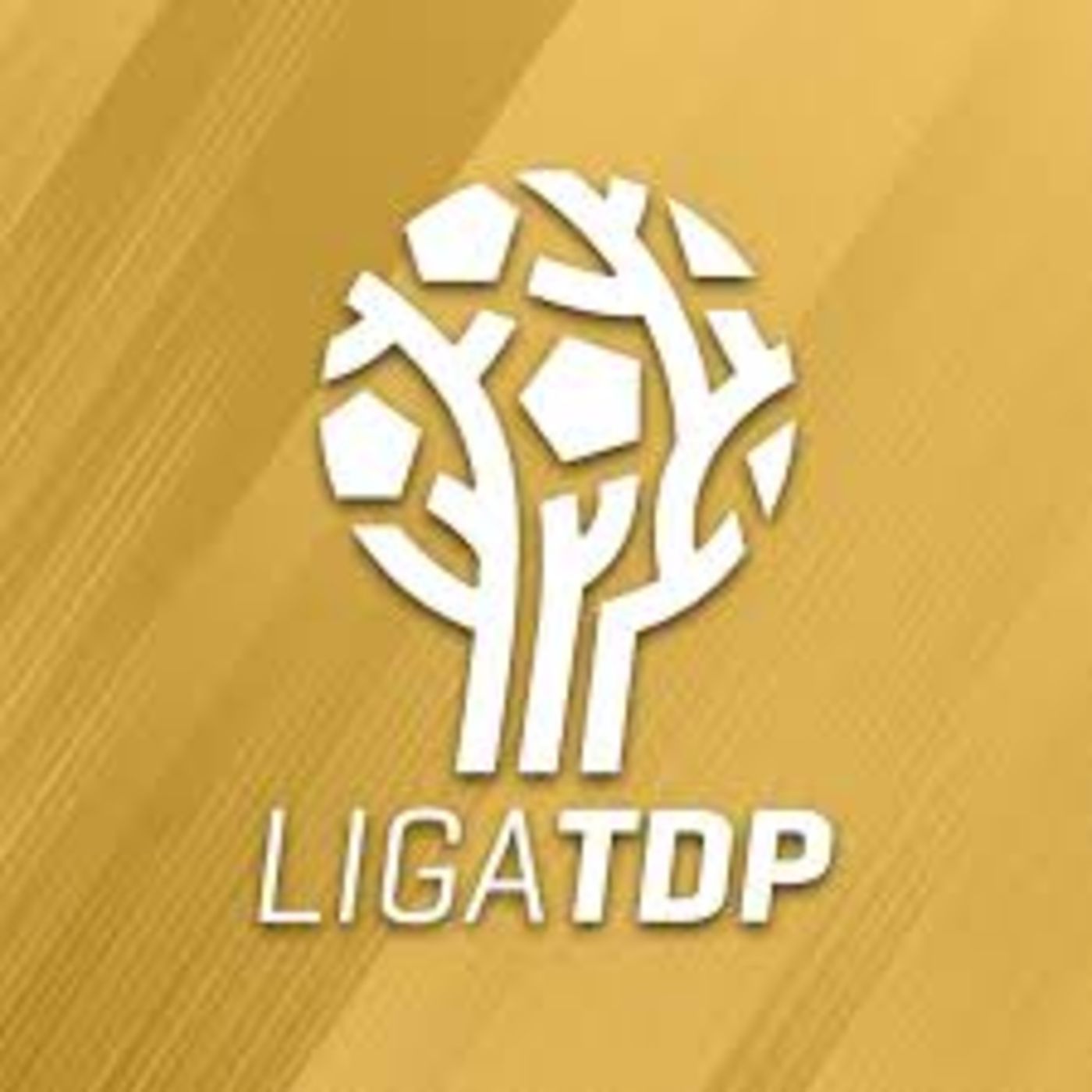 16vos de final Liga TDP: un futbol de tercera