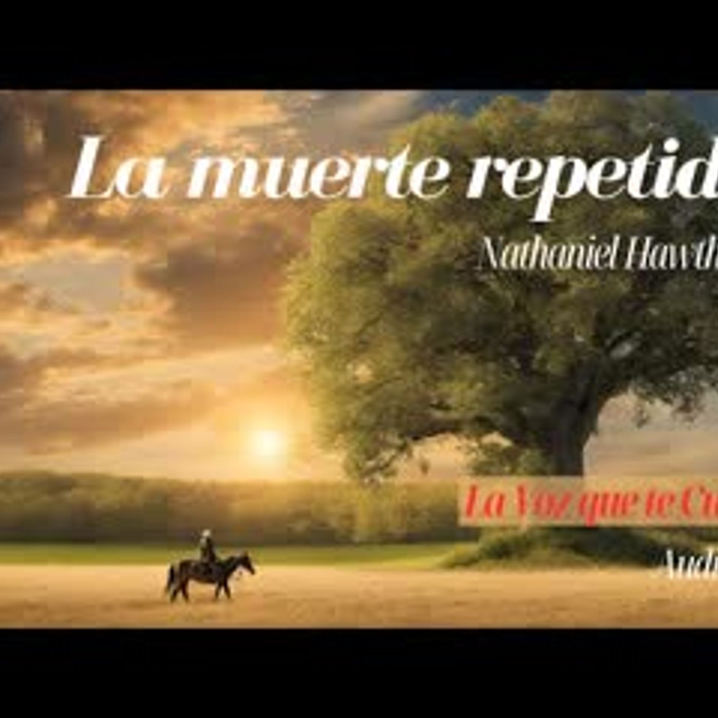 Audiolibro En Español