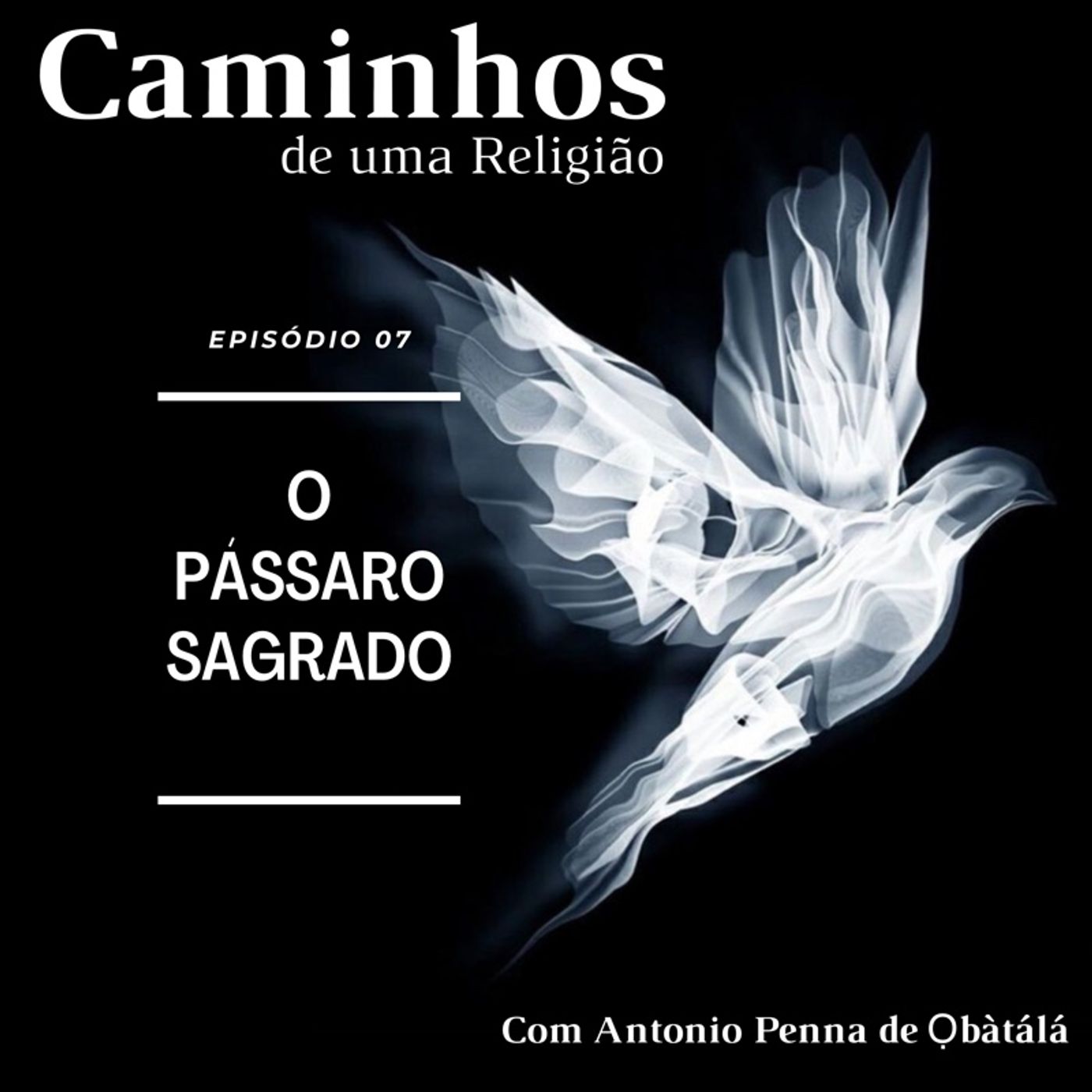 T01_Ep 07 - O Pássaro Sagrado