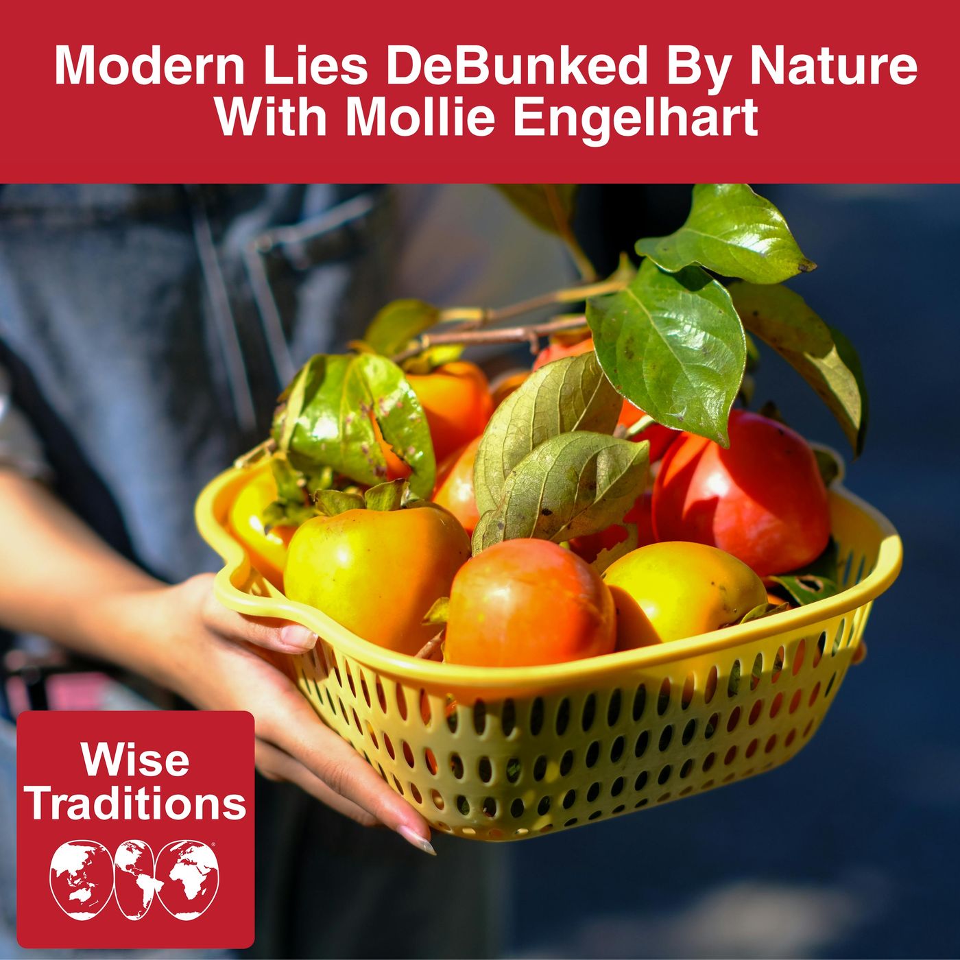570: Modern Lies DeBunked By Nature With Mollie Engelhart