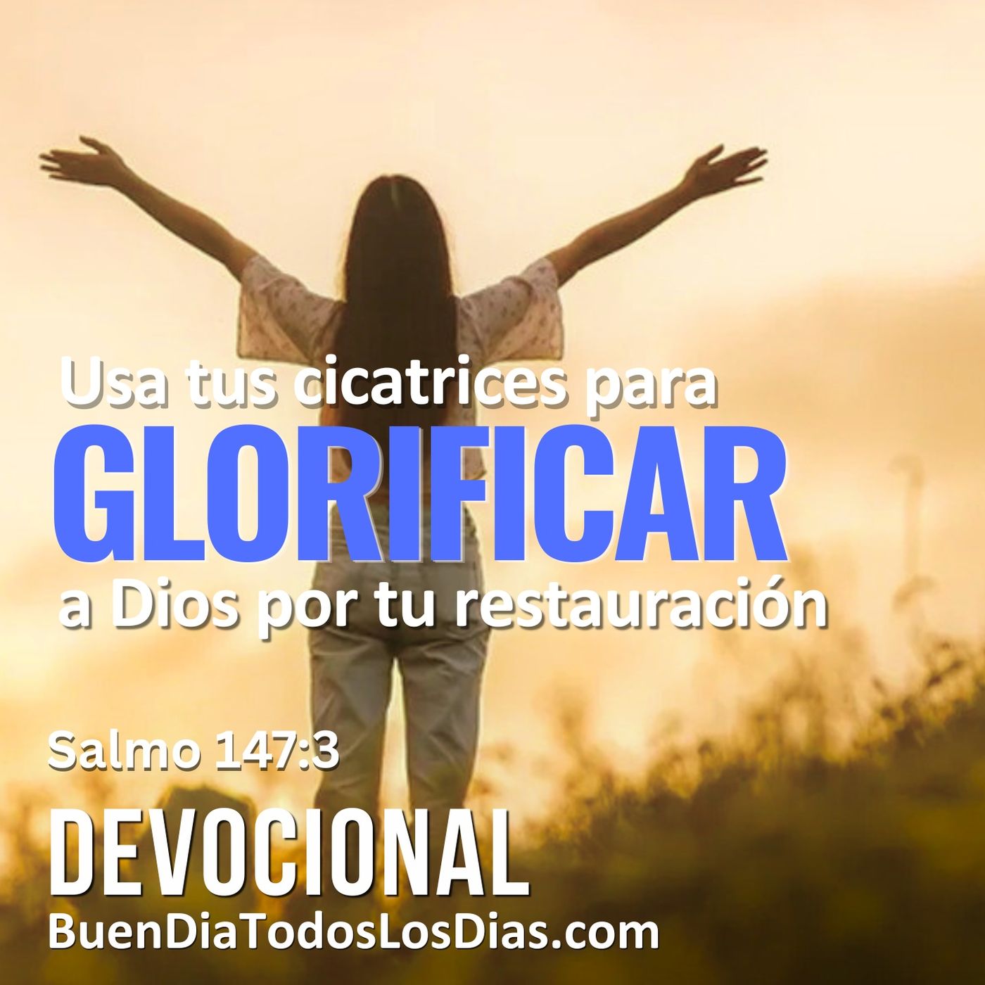 Las cicatrices son señales de restauración episode artwork