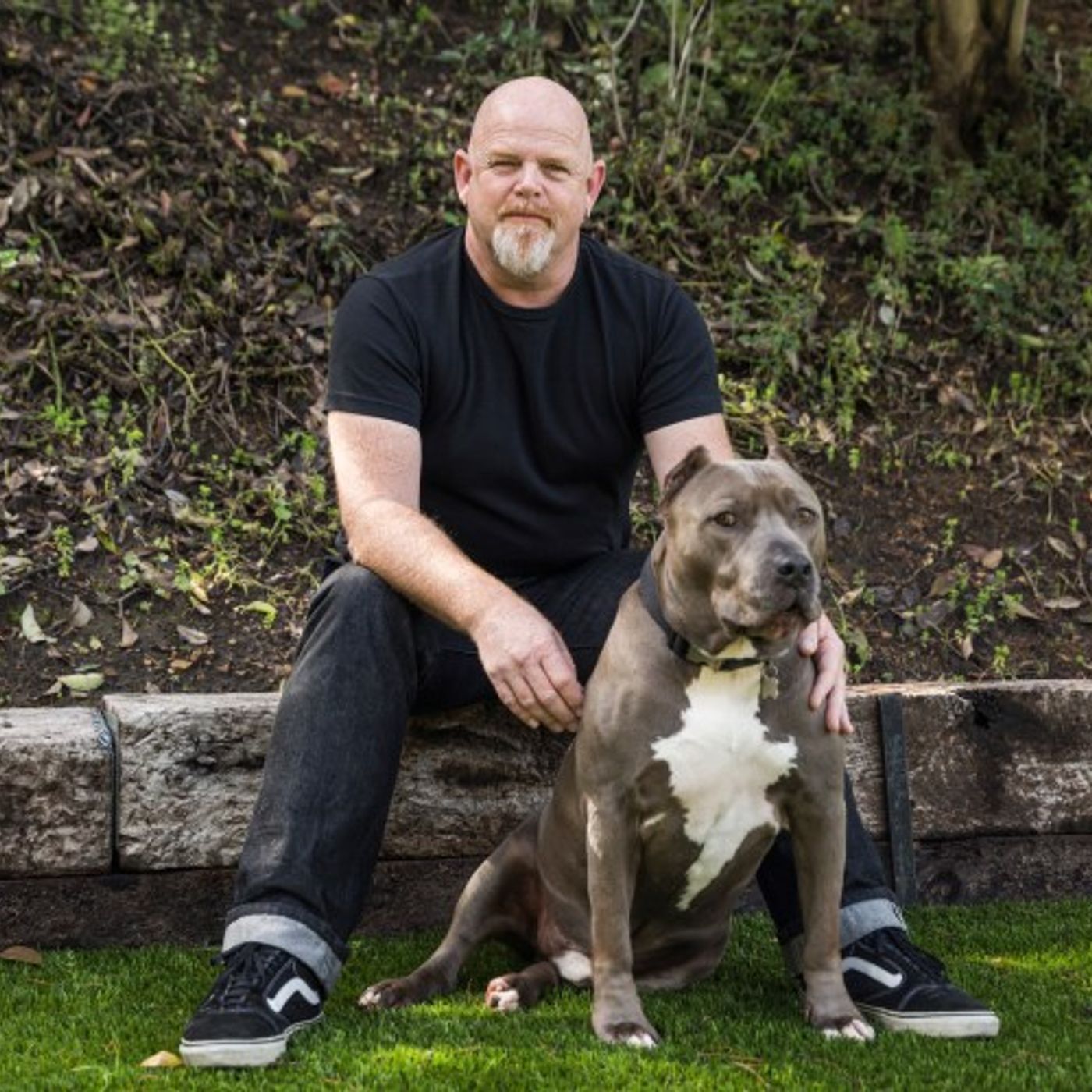 Helping The Brave - Steve D Sims