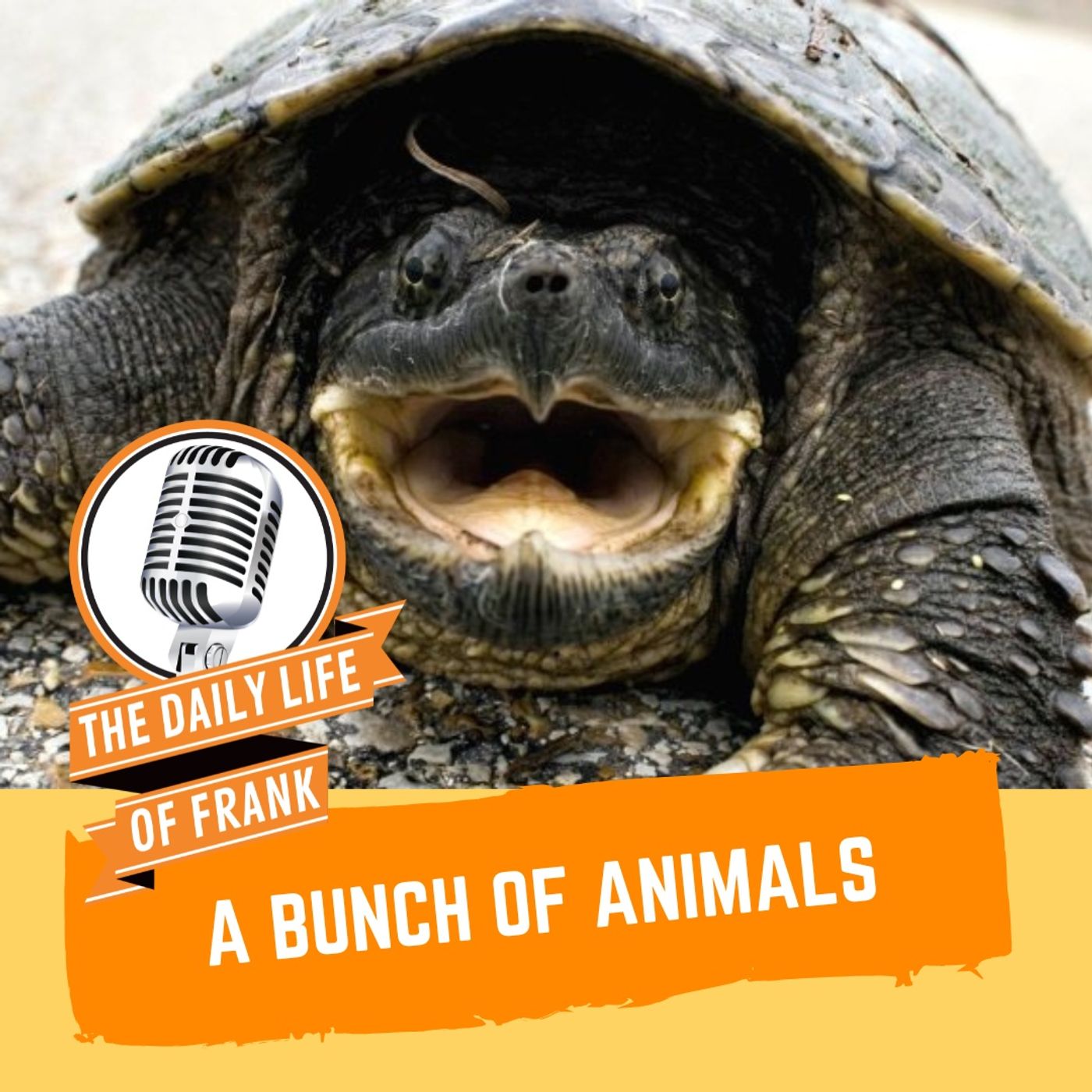 Episode 34: A Bunch of Animals episode artwork