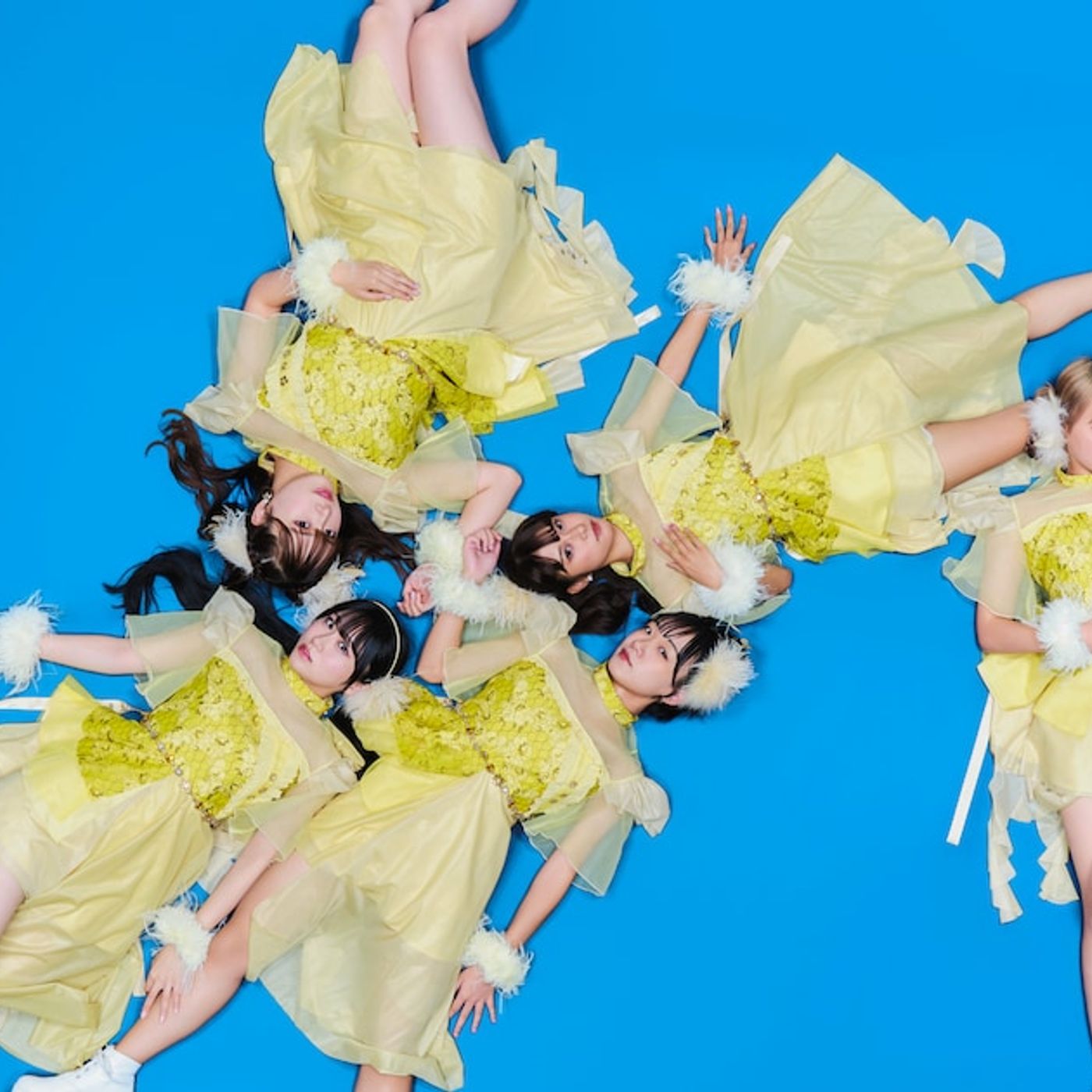 fishbowl、ライブデビュー5周年イベント＆TIF前前前前前前前前前前前前前夜祭やる - 音楽ナタリー episode artwork