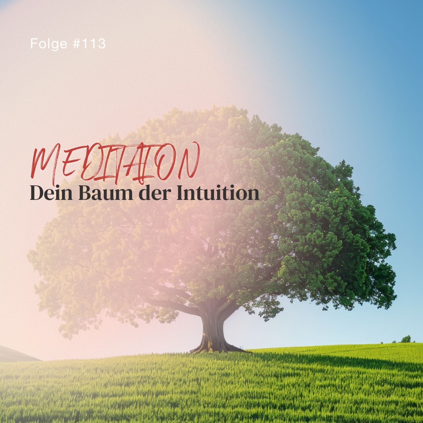 Dein Baum der Intuition | ca. 22 Min | Folge 113 episode artwork