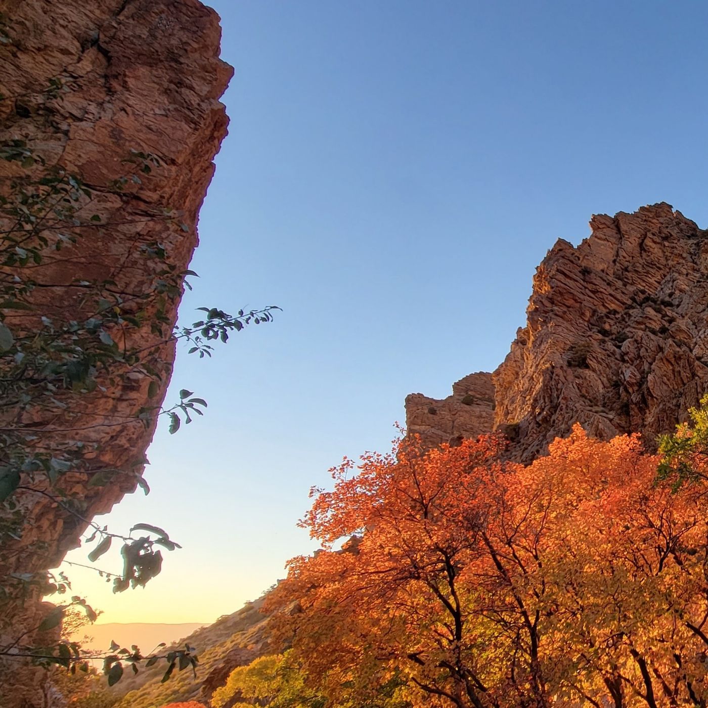 Finding Clarity in Utah’s Fall Outdoors episode artwork