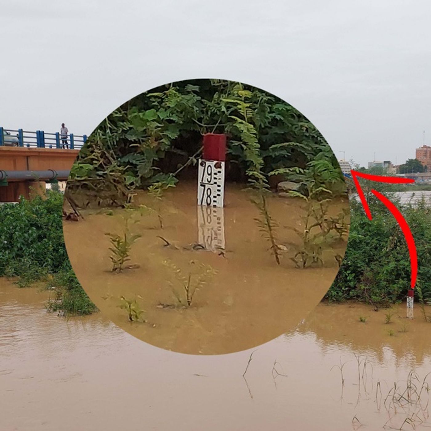 Crue du fleuve Niger à Tillabéry, vivierains en alerte episode artwork