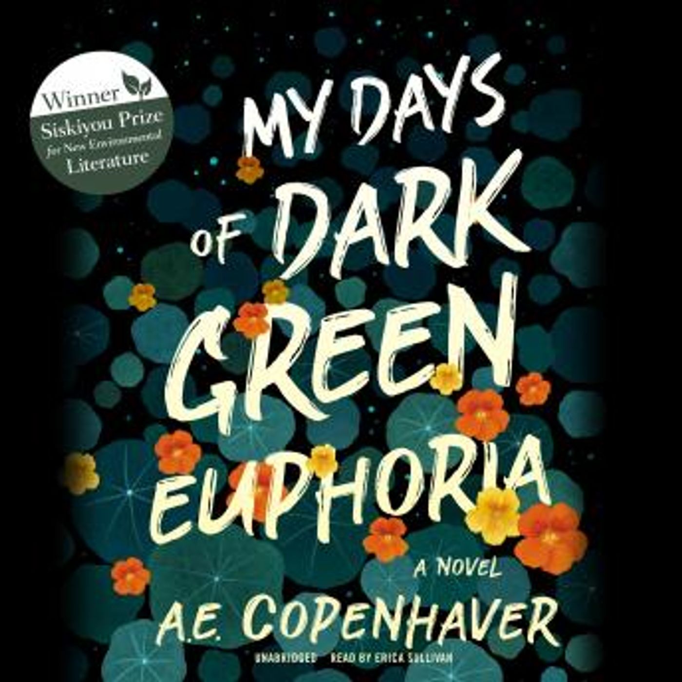 Find Best-Selling Full Audiobooks in Fiction, Contemporary Women