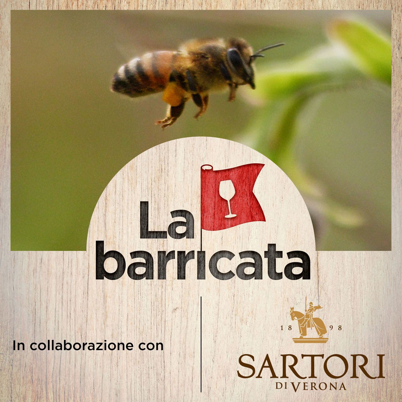 Breve corso di viticoltura (4): gli insetti nella vigna con Andrea Lucchi - La barricata, 58 episode artwork