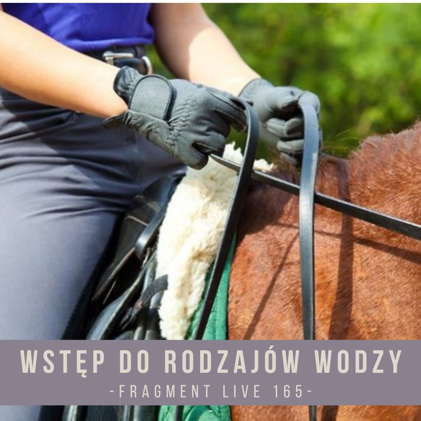Wstęp do rodzajów wodzy - Fragment live 156 episode artwork