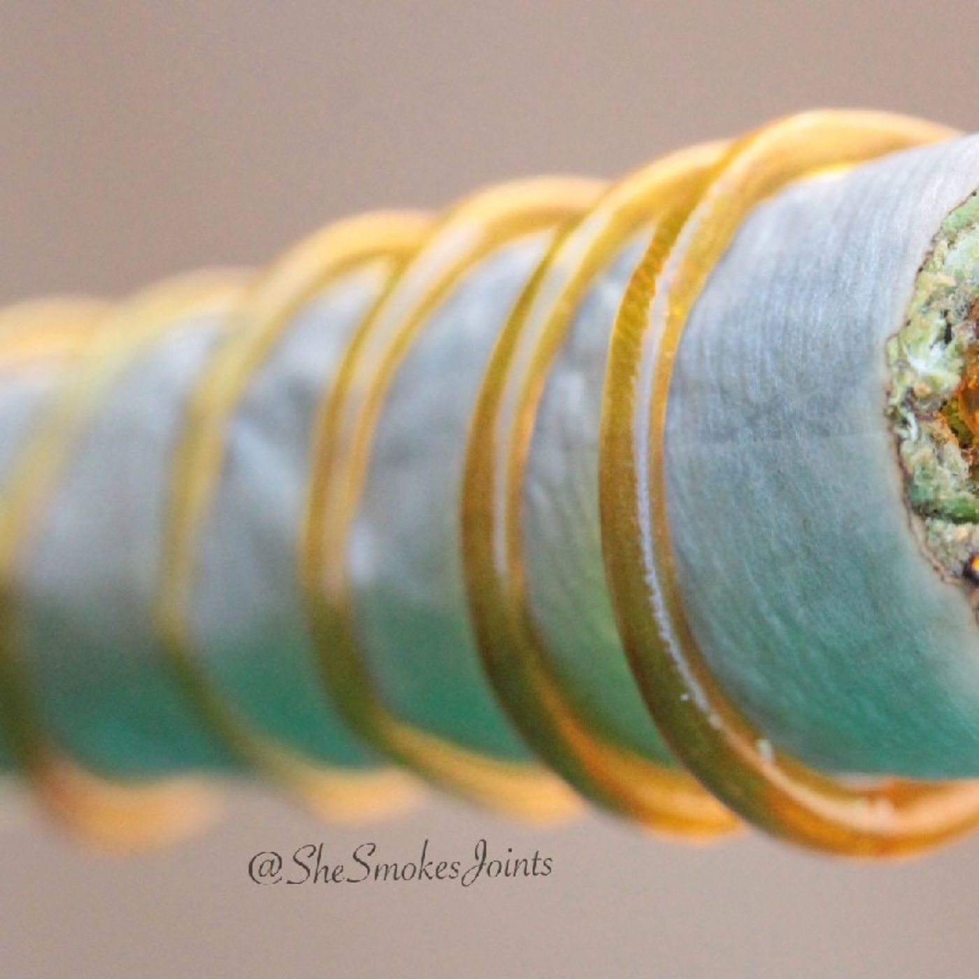 Smokey and Speedy get a visit from Beanie. Void shows too Smokey and Speedy get a visit from Beanie. Void shows too