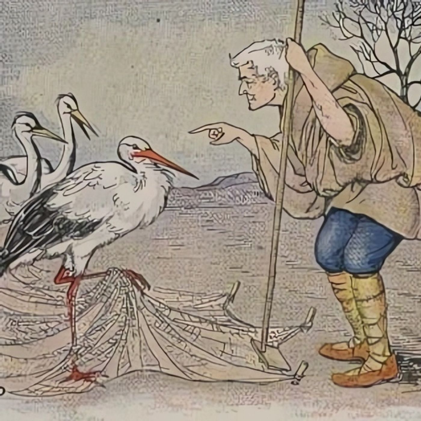 De Boer en de Ooievaar | Aesopus Fabels episode artwork