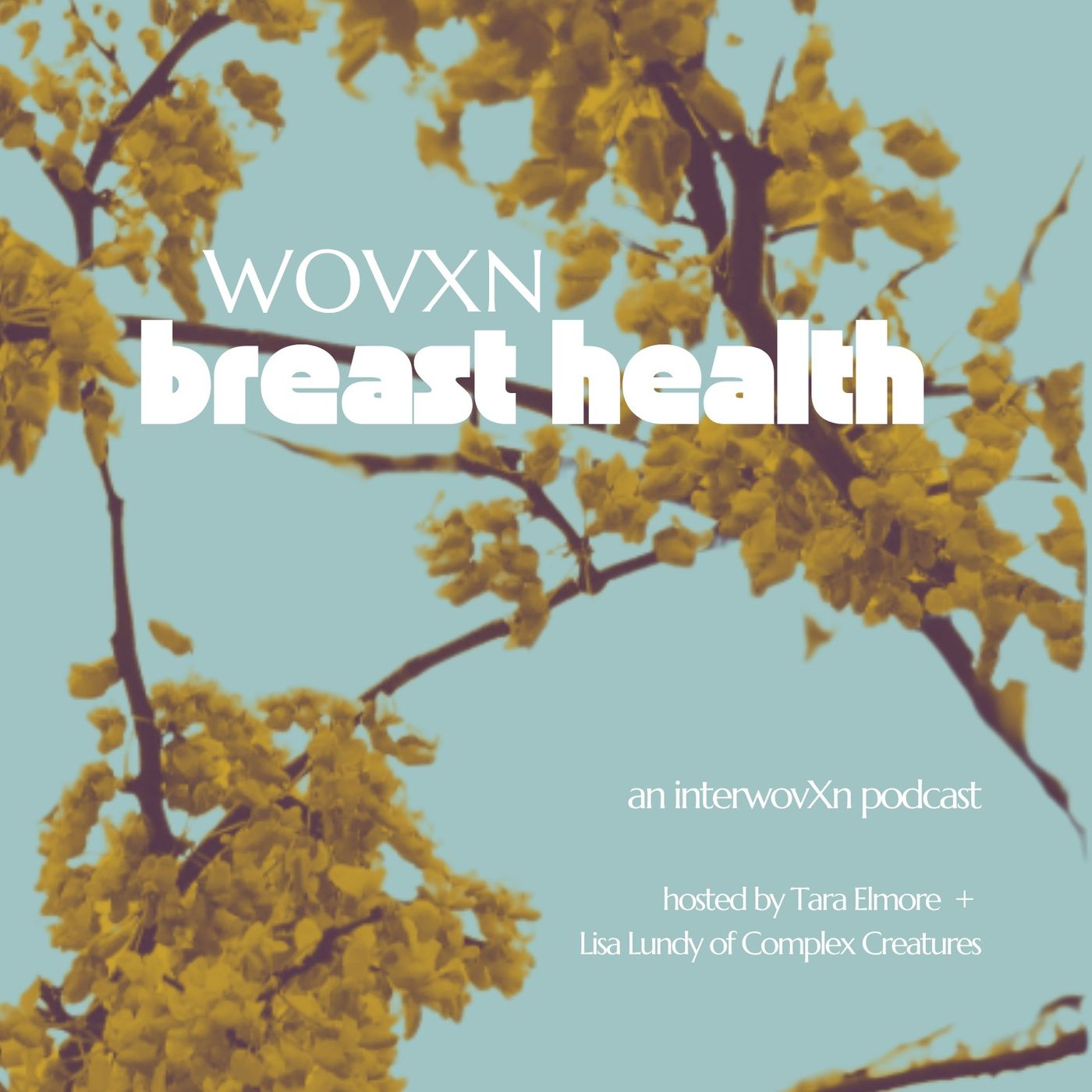 WOVXN Breast Health: The Trifecta episode artwork