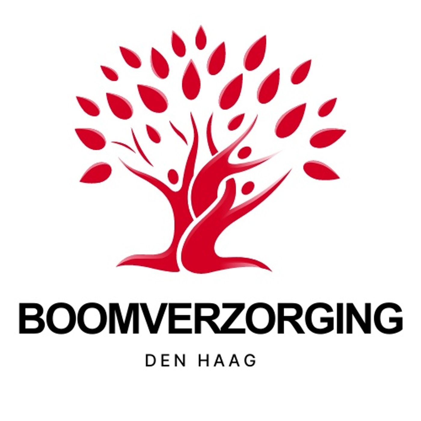 Boomverzorging Den Haag podcast artwork
