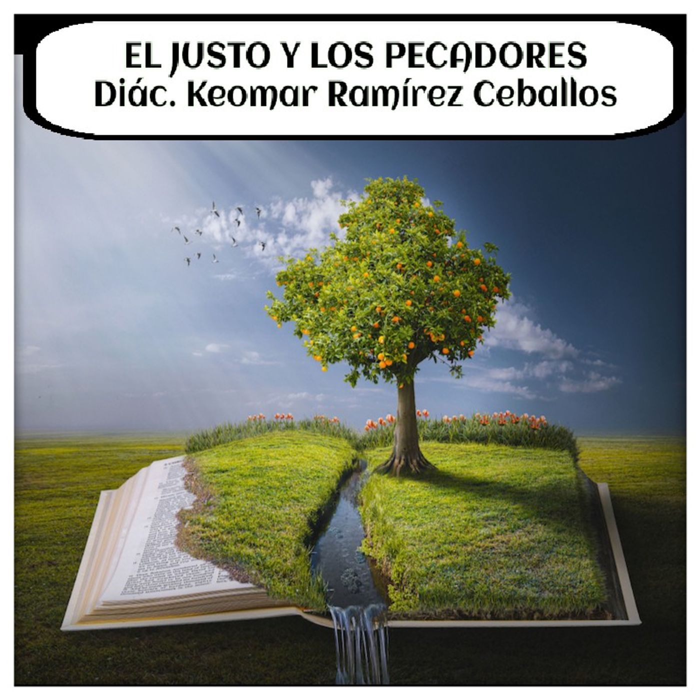 IGLESIA CRISTIANA REFORMADA