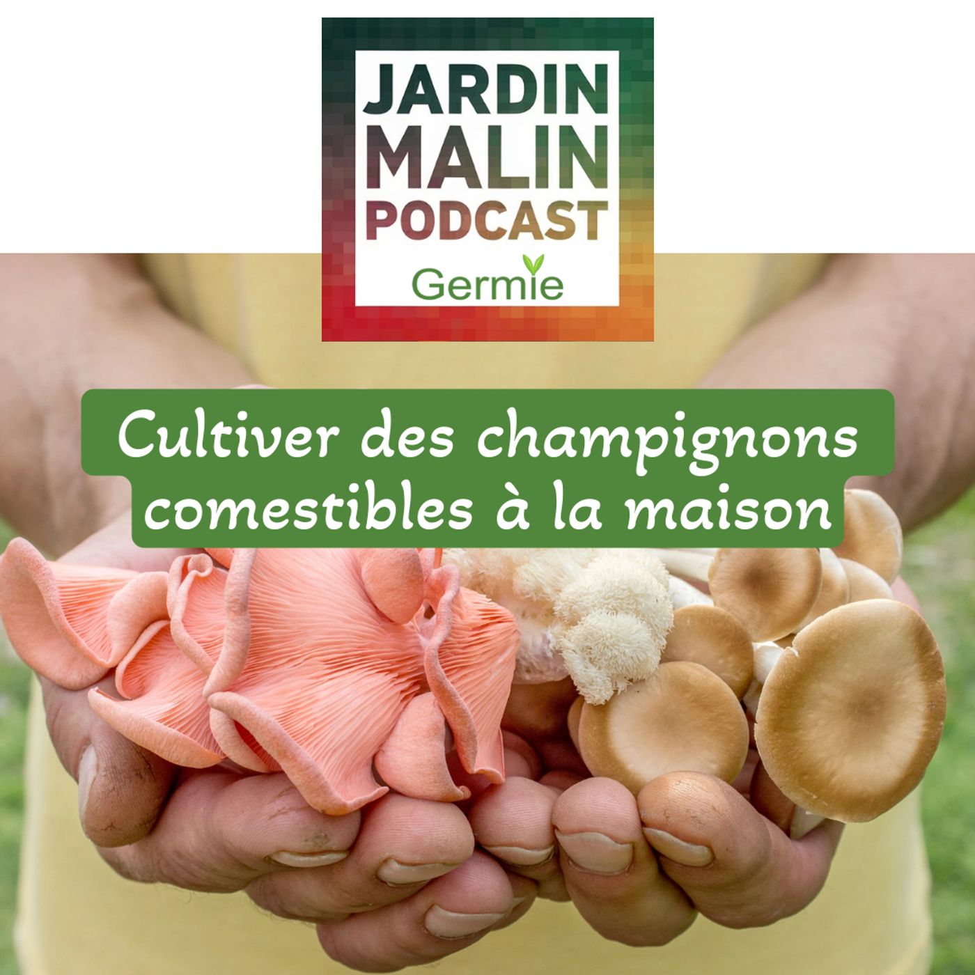 JARDIN MALIN by Germie